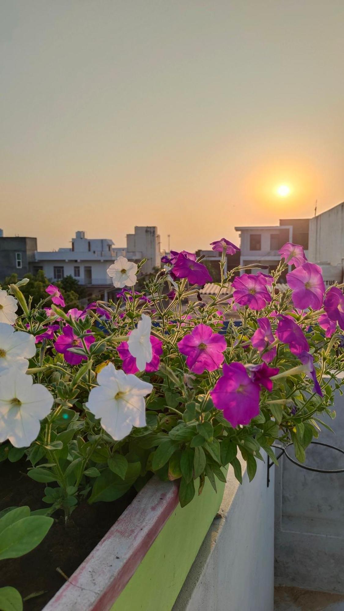 Iora Guest House Bharatpur Exterior foto